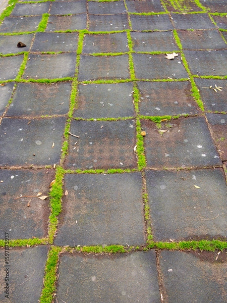 Fototapeta Detail of the floor of a children's playground in a public park with moss growing between the padded tiles.