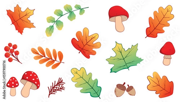 Fototapeta Bright and colorful vector set of autumn elements on a white background. It includes a variety of leaves, branches with berries, mushrooms, a fir branch and acorns. It is ideal for creating autumn des