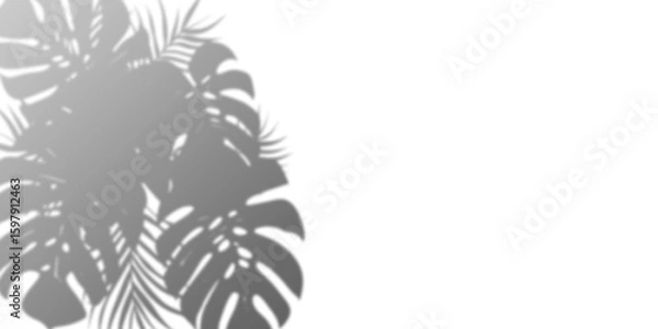 Fototapeta Stylish grayscale floral illustration, perfect for adding a touch of elegance to your designs.  Ideal for backgrounds, patterns, or decorative elements.