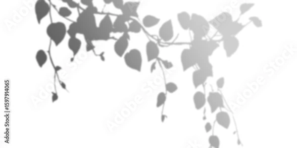 Obraz Stylized grayscale image depicting cascading floral branches with rounded leaves and buds. Dark background highlights the silvergray plant forms.