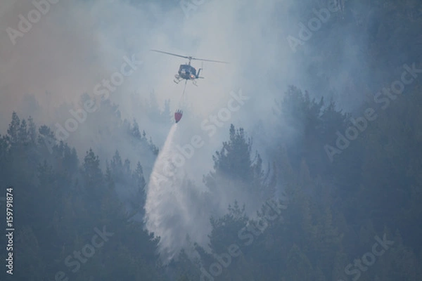 Obraz incendio forestal