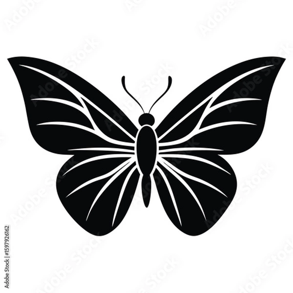 Obraz Winged Black Line Art Butterfly Vector