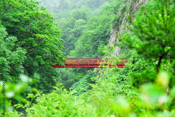 Obraz 緑に映える赤い橋