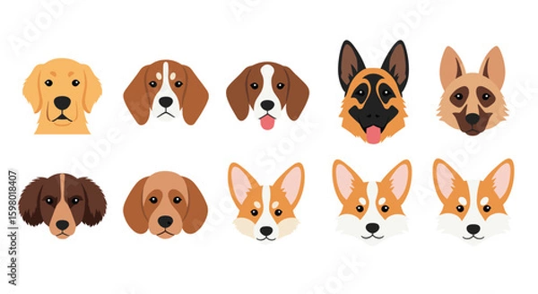 Fototapeta Collection of diverse dog breed heads showing different emotions and expressions