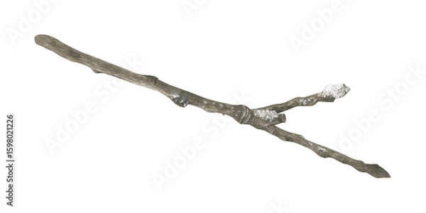 Obraz A bare tree branch covered with frost, snow and ice. Watercolor illustration of a hoarfrost wood stick. Hand drawn vintage sketch on white isolated background. Water color painting art image