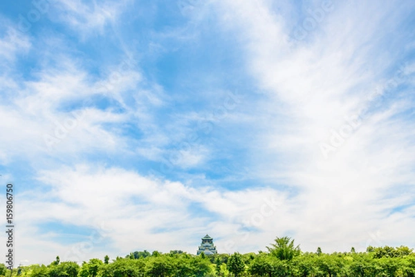 Fototapeta 大阪城