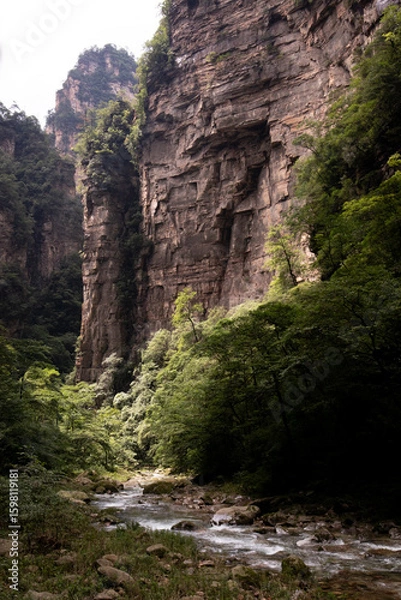 Fototapeta The Gold whip Stream in Zhangjiajie national forest park with its beautiful nature
