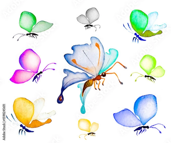 Fototapeta A set of watercolor butterflies on a white background. Hand drawn illustrations in a vintage style for logos or designs.