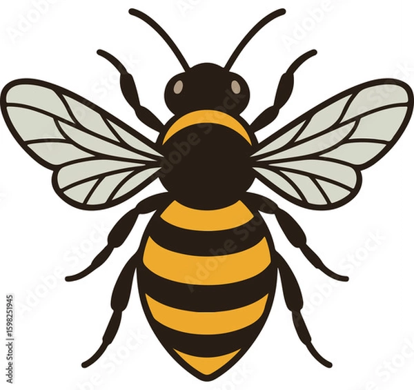 Obraz bee vector illustration