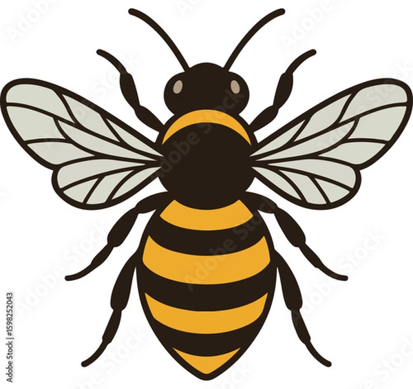 Obraz bee vector illustration