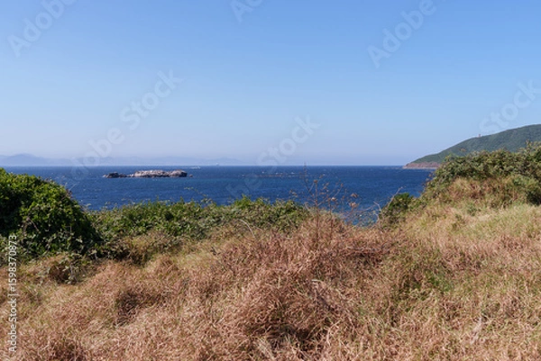 Obraz Dry and green vegetation with the bottom of the sea in the Strait of Gibraltar