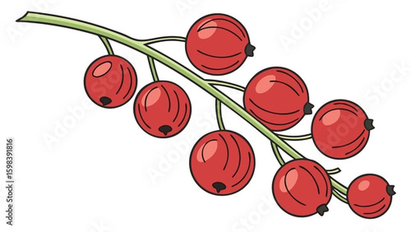 Obraz Glossy red currants hanging on a slender green stem with realistic shine and soft highlights, isolated on white.

