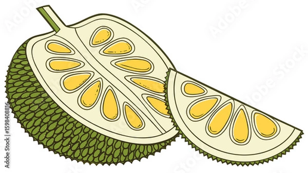 Obraz Flat design jackfruit wedge with textured yellow bulb details and clean vector edges, white background.

