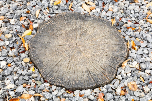 Obraz Concrete tree stump