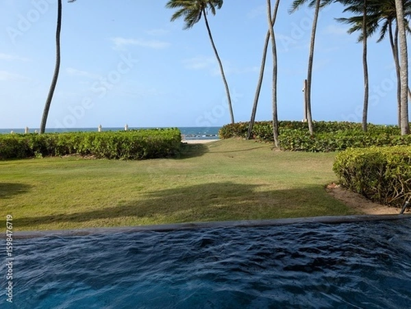 Obraz tropical beach with palm trees