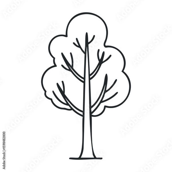Fototapeta Simple outline of a tall tree with branches and leaves on a white background. Vector illustration
