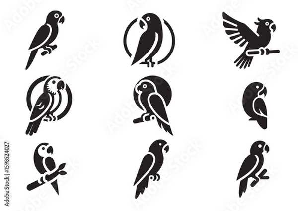 Obraz Parrot silhouette vector illustration Set