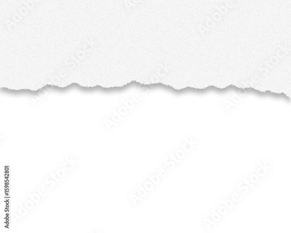 Obraz Abstract black and white torn paper background texture