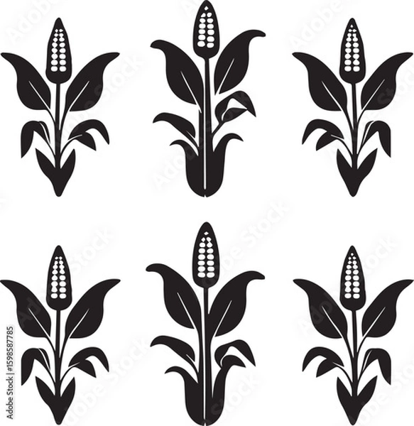Fototapeta Silhouetted Corn Plants in Repeating Pattern