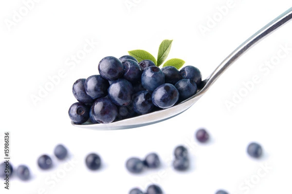 Obraz bilberry