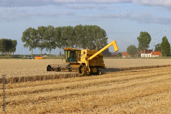 Fototapeta a beautiful rural landscape of a wheat field with a yellow combine harvester and trees and a blue sky in the background at a summer evening