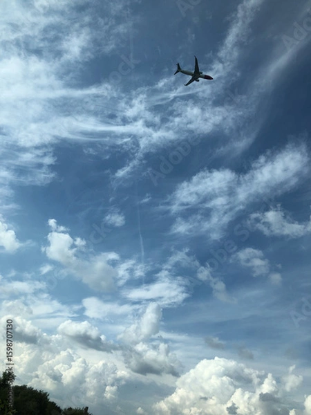 Obraz airplane in the sky