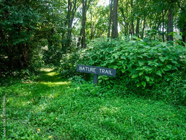 Fototapeta nature trail