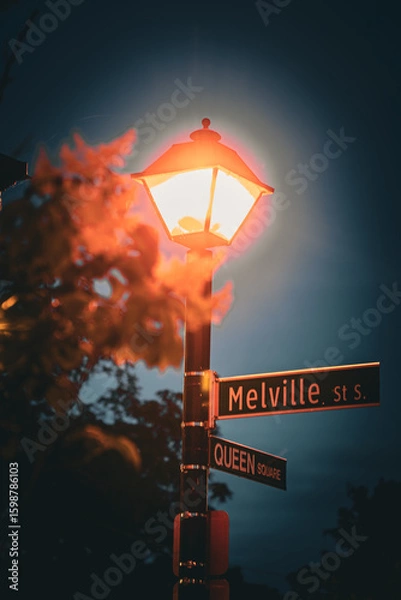 Obraz street lamp in the night