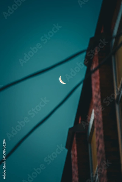 Obraz Framing the Moon