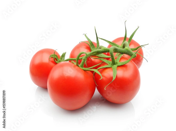 Fototapeta Tomato branch isolated on white background. Red fresh tomatoes close-up.