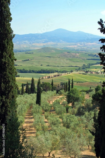 Obraz Ausblick auf das Val d’Orcia in der Toskana
