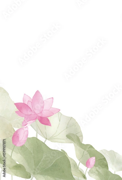 Obraz 水彩で描いた蓮のはがきテンプレート