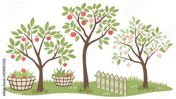 Fototapeta Idyllic orchard scene with apple trees and baskets