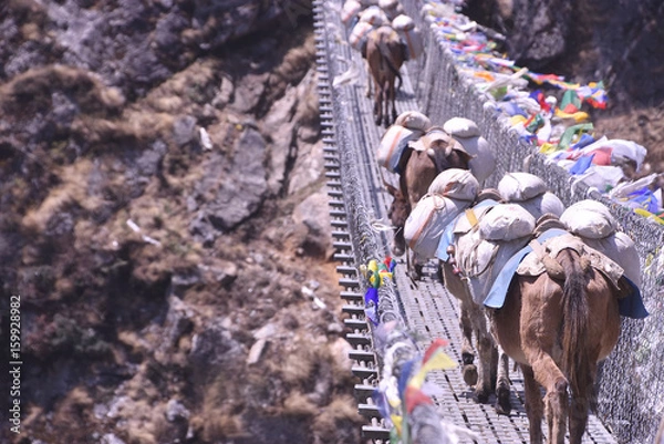 Obraz caravan in himalaya