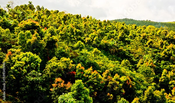 Obraz beautiful view of green mountain landscape with white clouds in the background