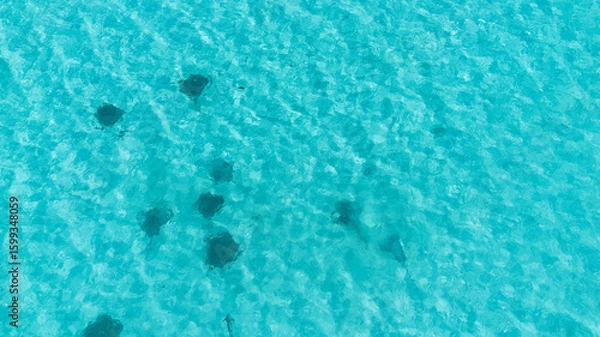 Obraz Ningaloo reef Western Australia 