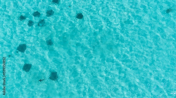 Obraz blue reef water 