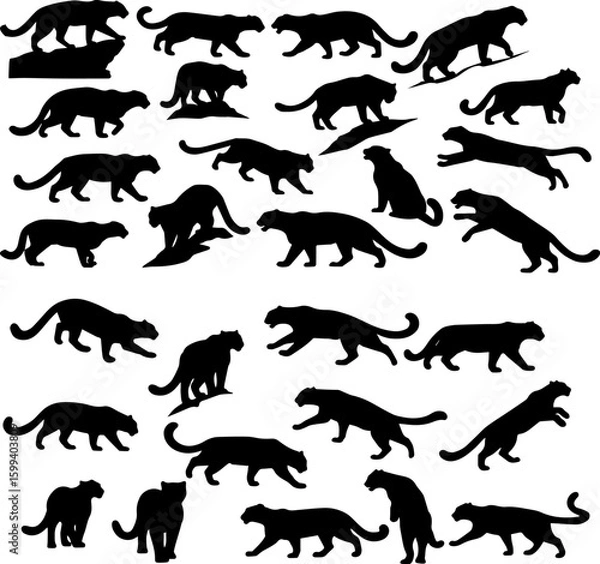 Obraz Collection of black silhouette illustrations depicting leopards in various poses, including standing, walking, jumping, and crouching.