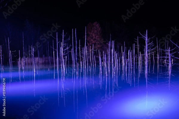 Obraz ライトアップされた夜の青い池　美瑛町
