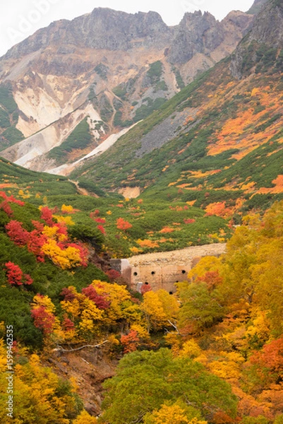 Obraz 秋の高原と山並み
