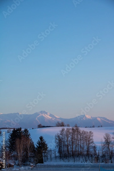 Fototapeta 夕日を反射してバラ色に染まる冬山
