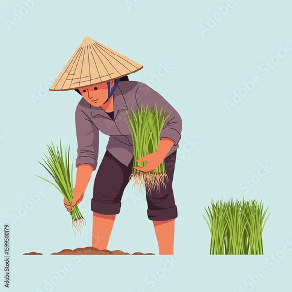 Fototapeta Farmer Planting Green Rice Seedlings Wearing Traditional Asian Hat