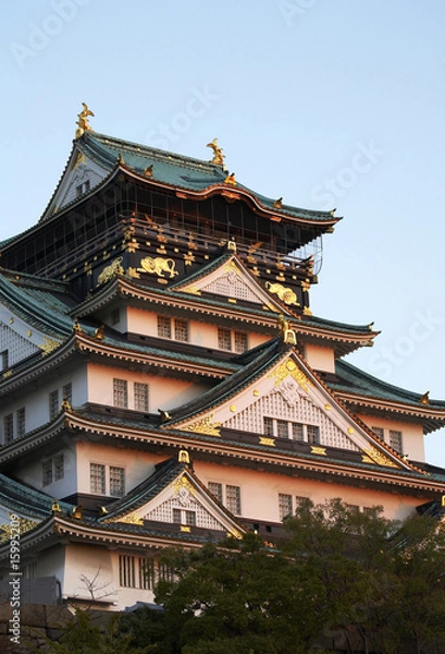 Fototapeta 大阪城