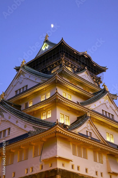 Fototapeta 大阪城