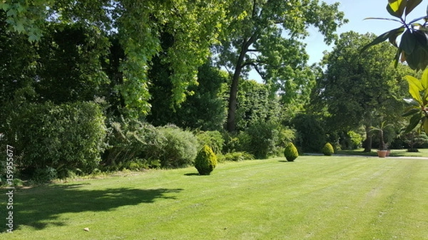 Obraz jardin fleurie