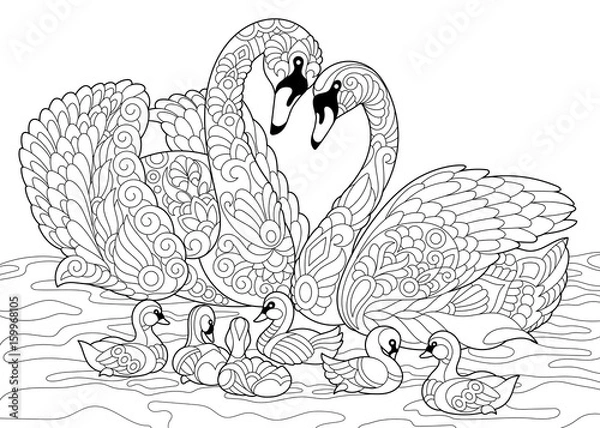 Obraz Książka do kolorowania z rodziny ptaków łabędzi. Rysunek odręczny szkic do kolorowania antystresowego dla dorosłych z elementami doodle i zentangle.