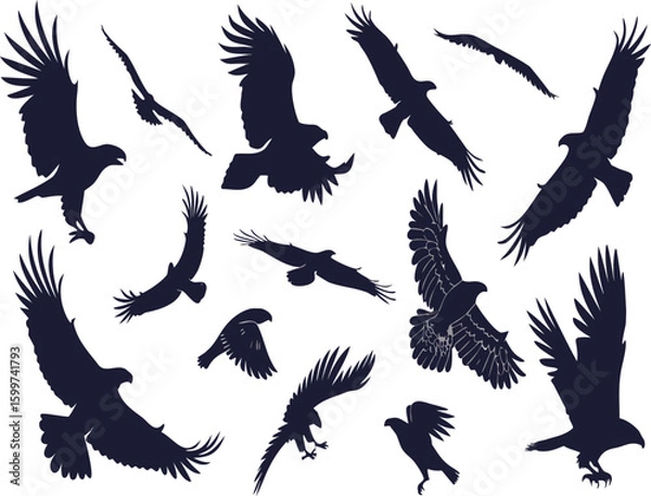 Fototapeta Collection of silhouettes of eagles in various flight poses showcasing powerful wings and majestic forms against a clean backdrop