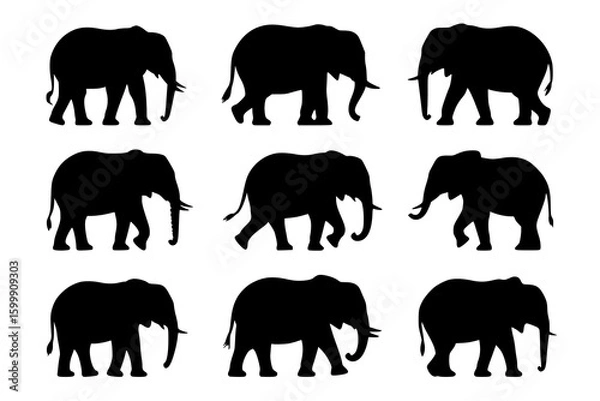 Obraz Elephant Silhouettes: A collection of nine elegant black and white line art elephant silhouettes, showcasing various walking poses against a white background.