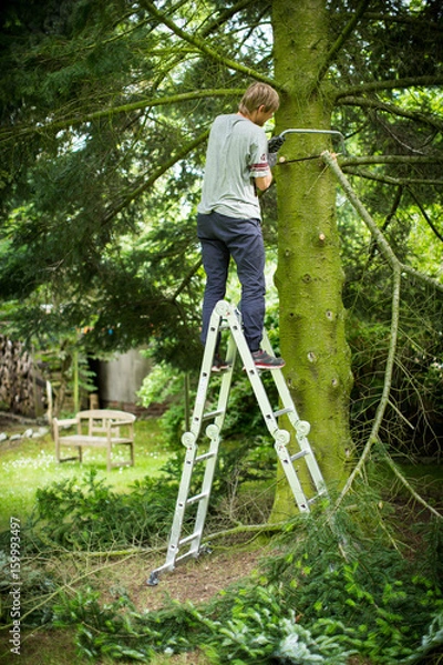 Obraz Baum fällen