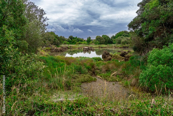 Obraz river in the mountains